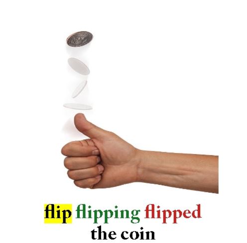 Flip